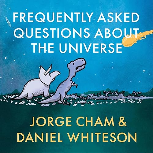 Frequently Asked Questions About the Universe