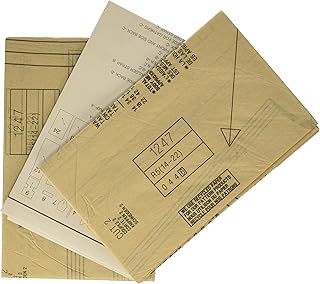 Simplicity Creative Patterns 1247 Misses' Flapper Costume, Size: R5 14-16-18-20-22 - Buy now