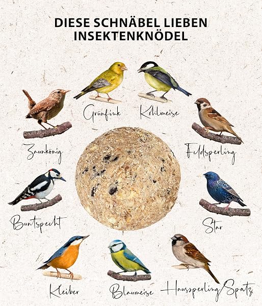 Dehner Natura Premium - Bola de Masa para carbonero con Red, Bolas de Insectos, alimento para Aves Silvestres Durante Todo el año, Rico en proteínas, Alto en energía, 30 Unidades de 90 g (2,7 kg), - 5