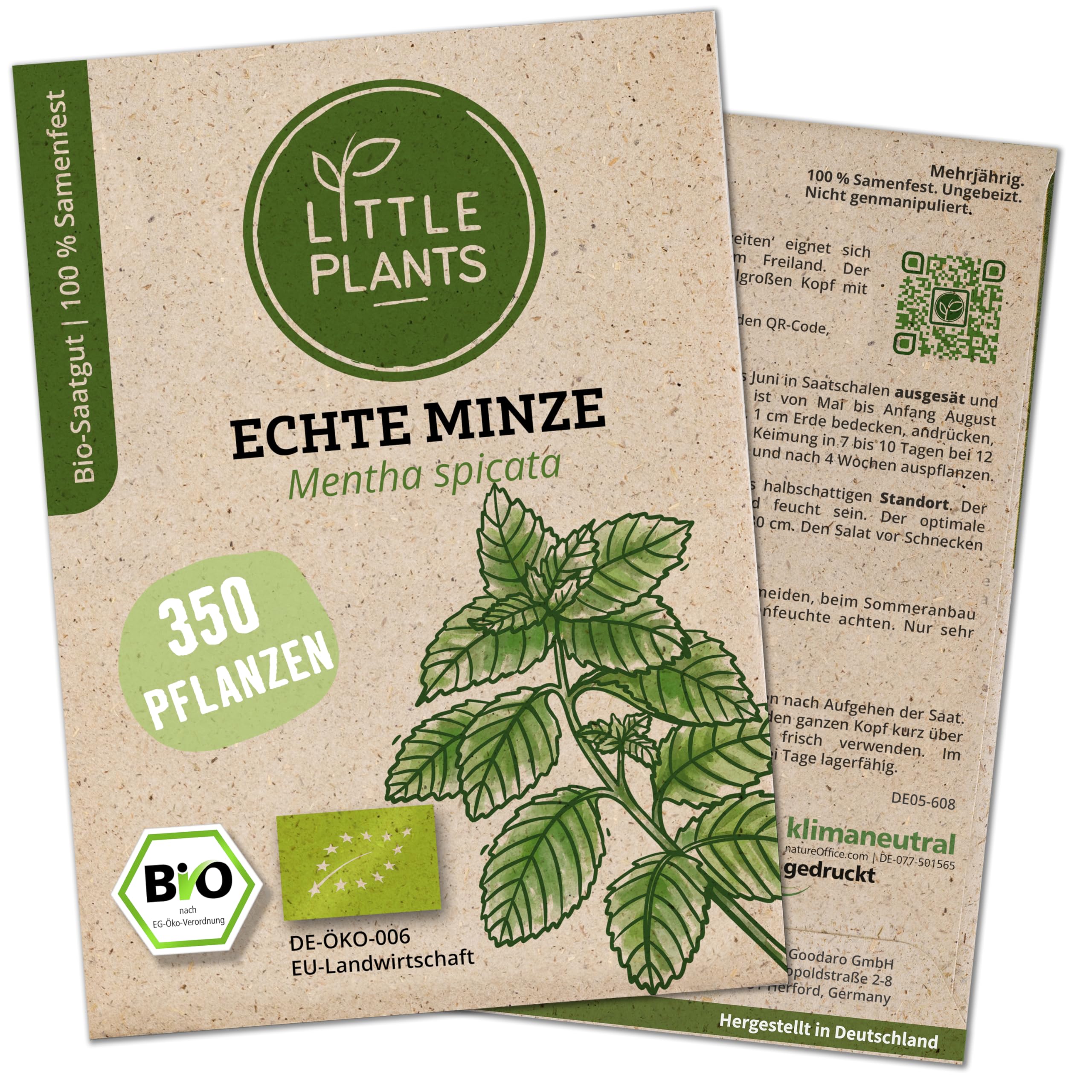 Little Plants BIO Minze Samen | BIO-Kräutersamen | Nachhaltige Verpackung aus Graspapier | Kräuter-Samen | BIO-Saatgut für ca. 350 Minz-Pflanzen