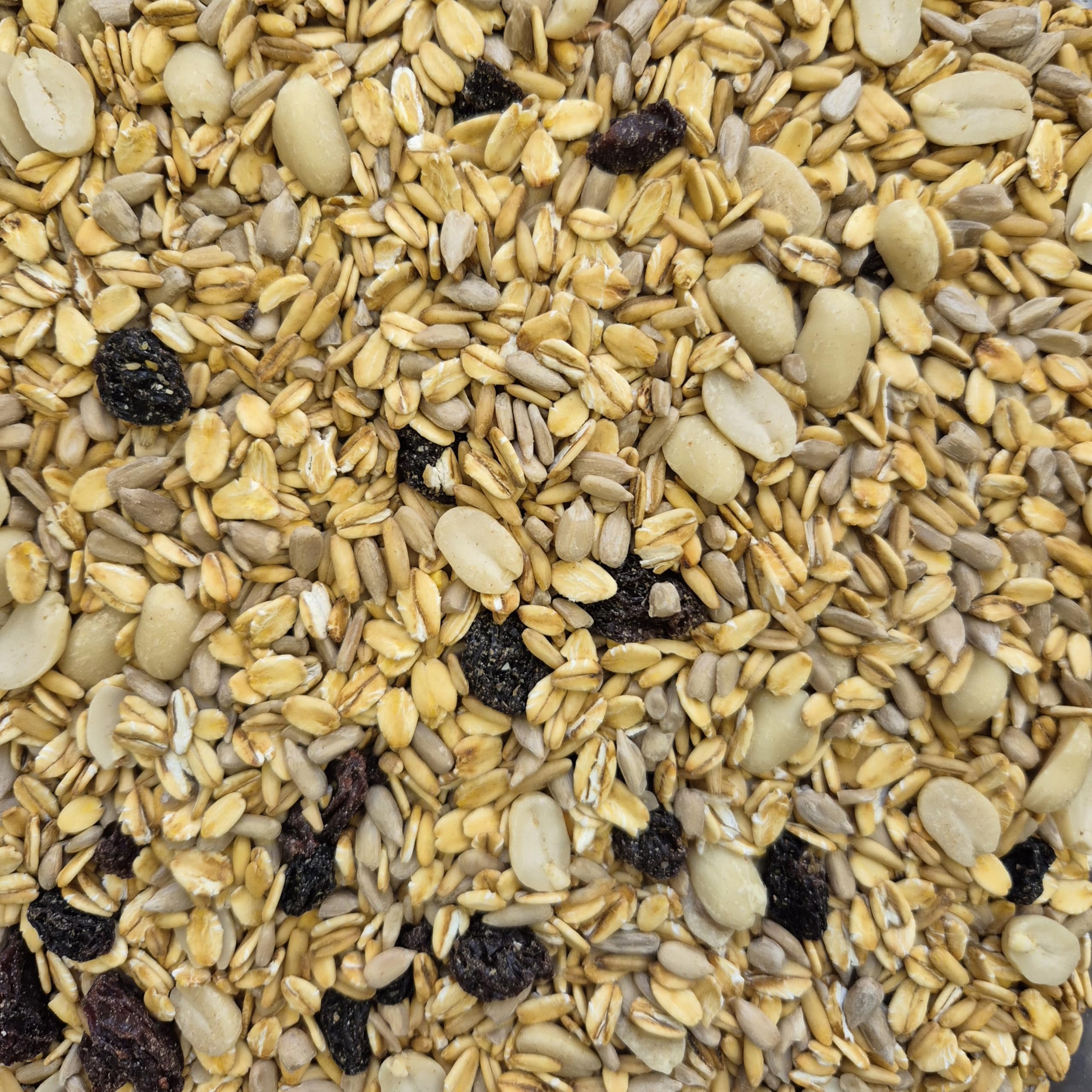 Streufutter (schalenlos), Vogelfutter Premium Futterqualität (2x10 Kg)