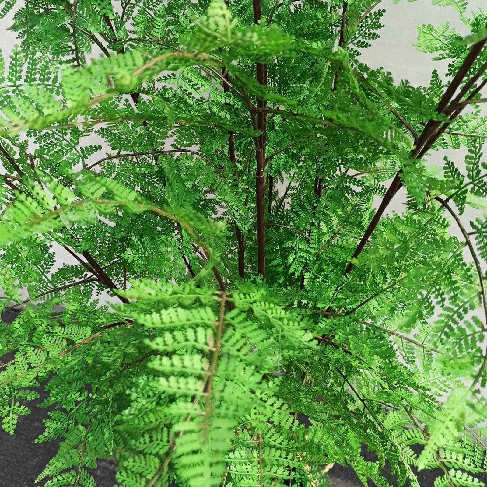 Amazon.co.jp: 屋内人工樹木 人工シダの木47インチの柔らかい植物の