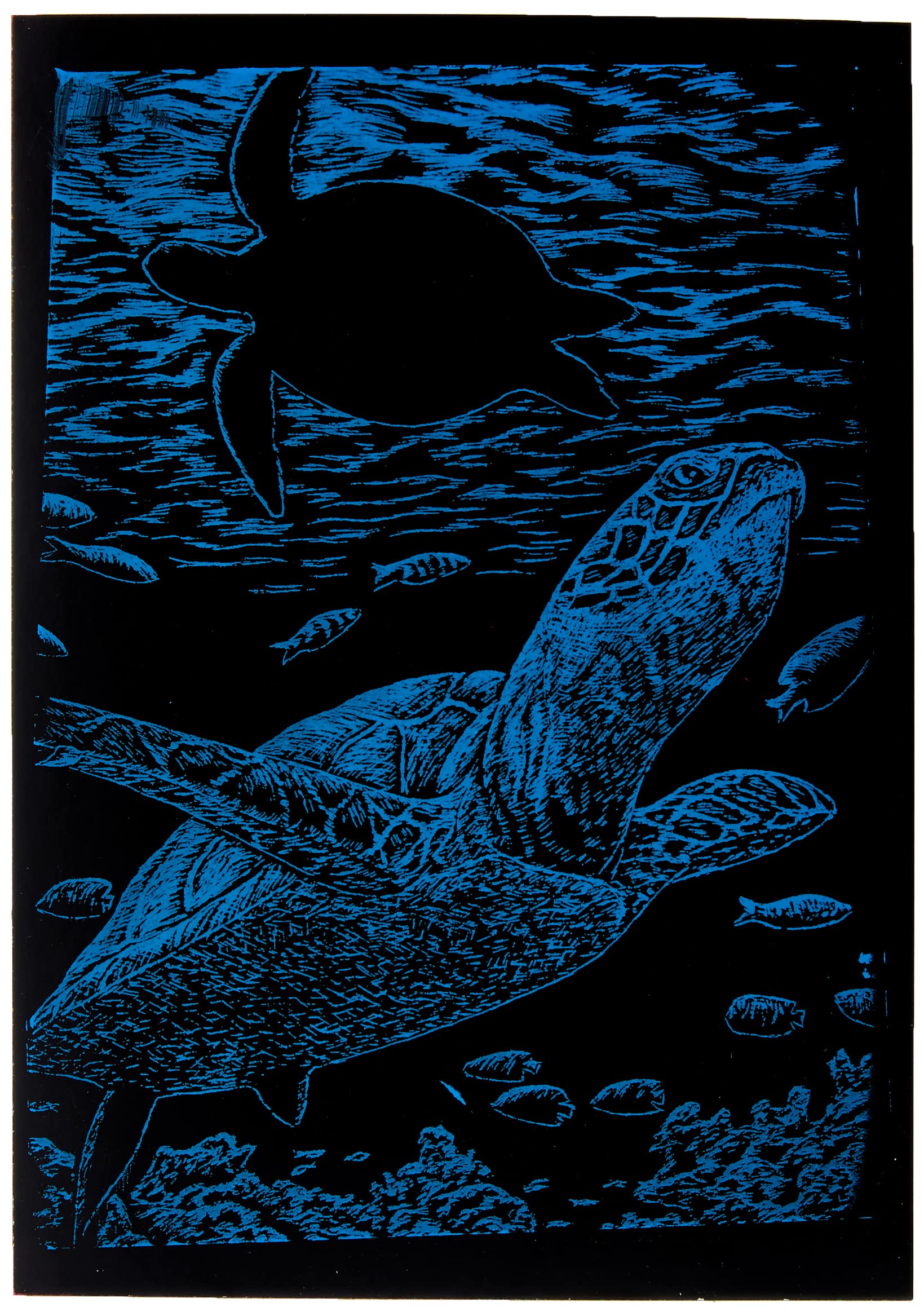 La FourmiENGRV ART MINI RAINBW SEA TURT