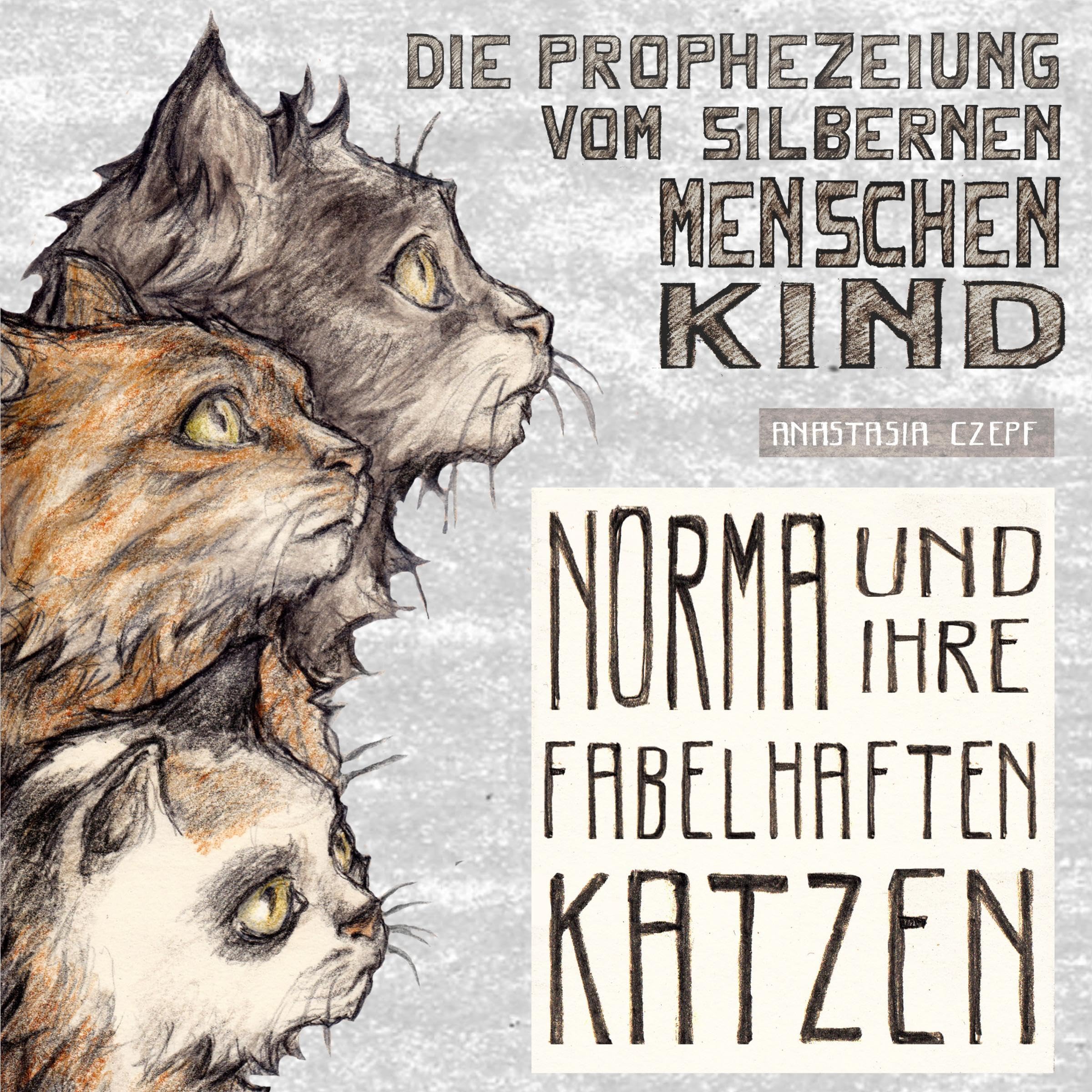 Cover art for Die Prophezeiung vom Silbernen Menschenkind [The Prophecy of the Silver Man Child]