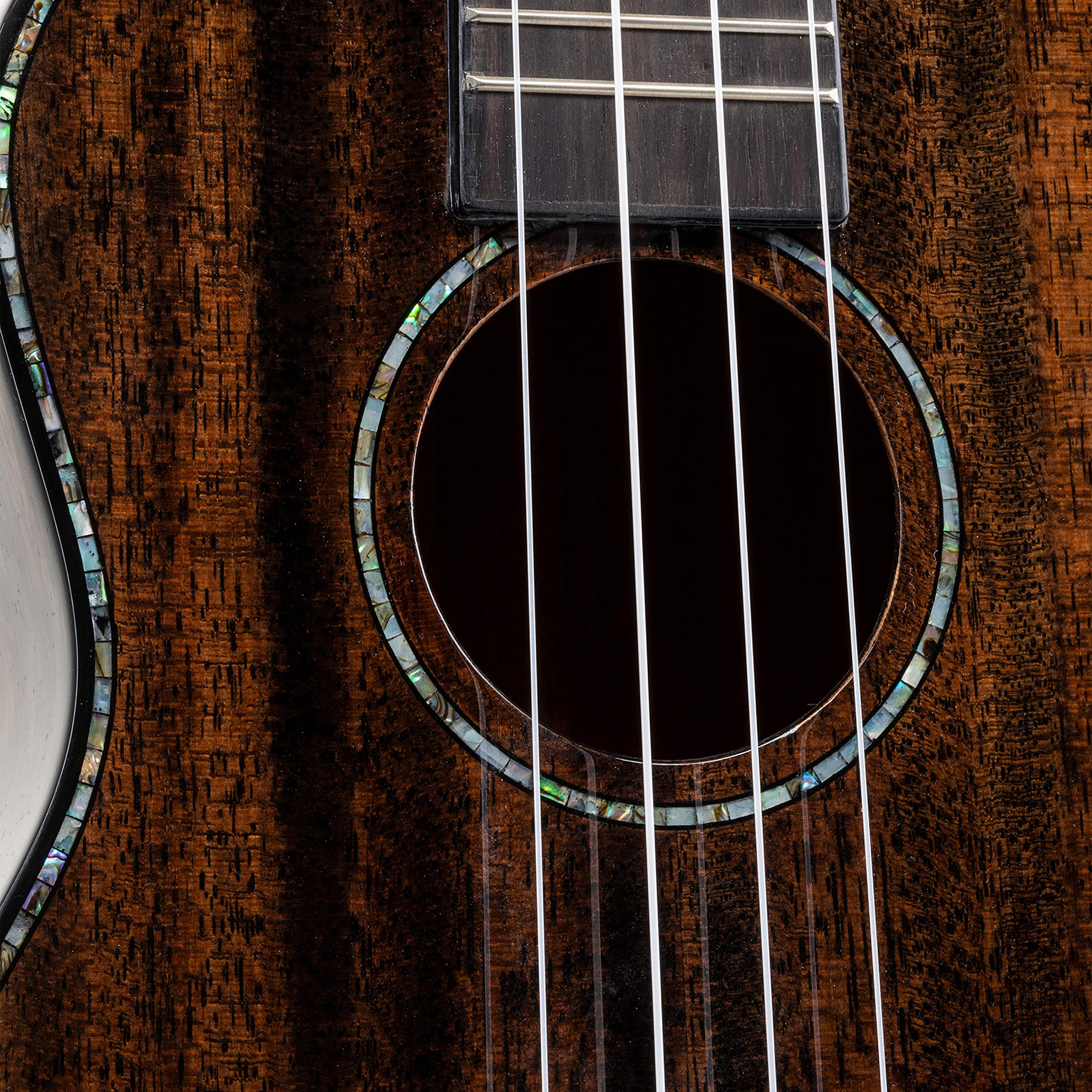 VOLT - Ukulele Siena, dimensioni: tenore, copertina in mogano, tastiera: palissandro, finitura lucida, ornamenti in madreperla, lunghezza: ca. 660 mm, con bottoni per cintura, custodia imbottita