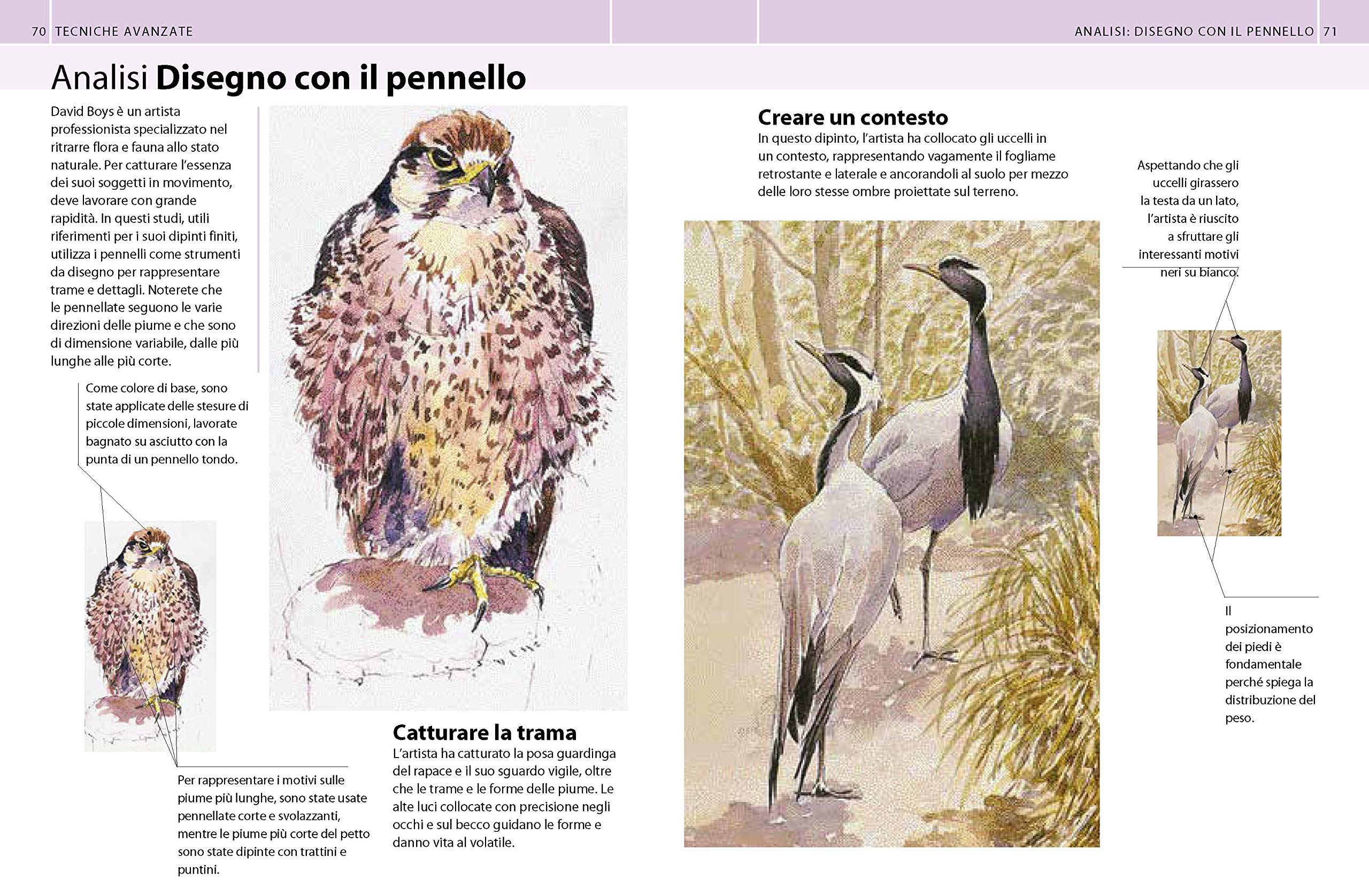 Guida completa alla pittura ad acquarello. Ediz. a colori