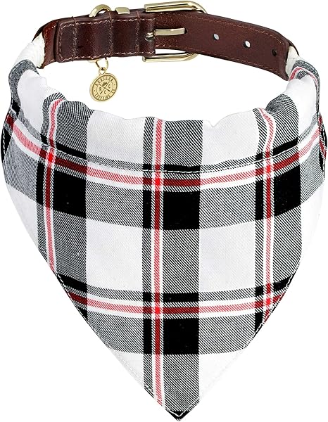 designer inspired dog collars