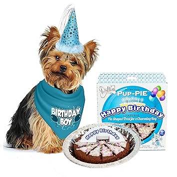 JT PET Dog Birthday Boy Party Pack with Bandana, Star Spangled Party Hat with Adjustable Elastic, Tassels and Feathery Trim, and Vegan Birthday Pie, Large