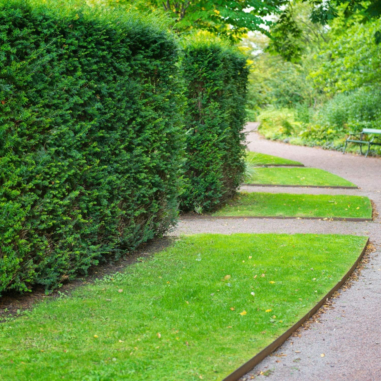 Coyote RawEdge Steel Lawn Edging Home Kit – 20 ft (5 x 47.5″ Pieces), 4″ Height, Uncoated Alloy Steel with Rolled-Top Safety – Durable Garden, Walkway & Bed Border