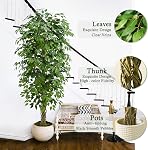 Ficus Tree artificiel:6FT Faux Sol en soie Plante réaliste Fausse Ficus Grand Poté avec Lush de Trunk tressé & Green Leaves Pot pour la maison bureau chambre Décor intérieur & A l'extérieur (6FT,1-Pack,Blanc)