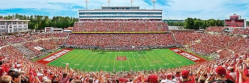 Miniatura 37 de MasterPieces NCAA - Rompecabezas panorámico (1000 piezas), Gris, S