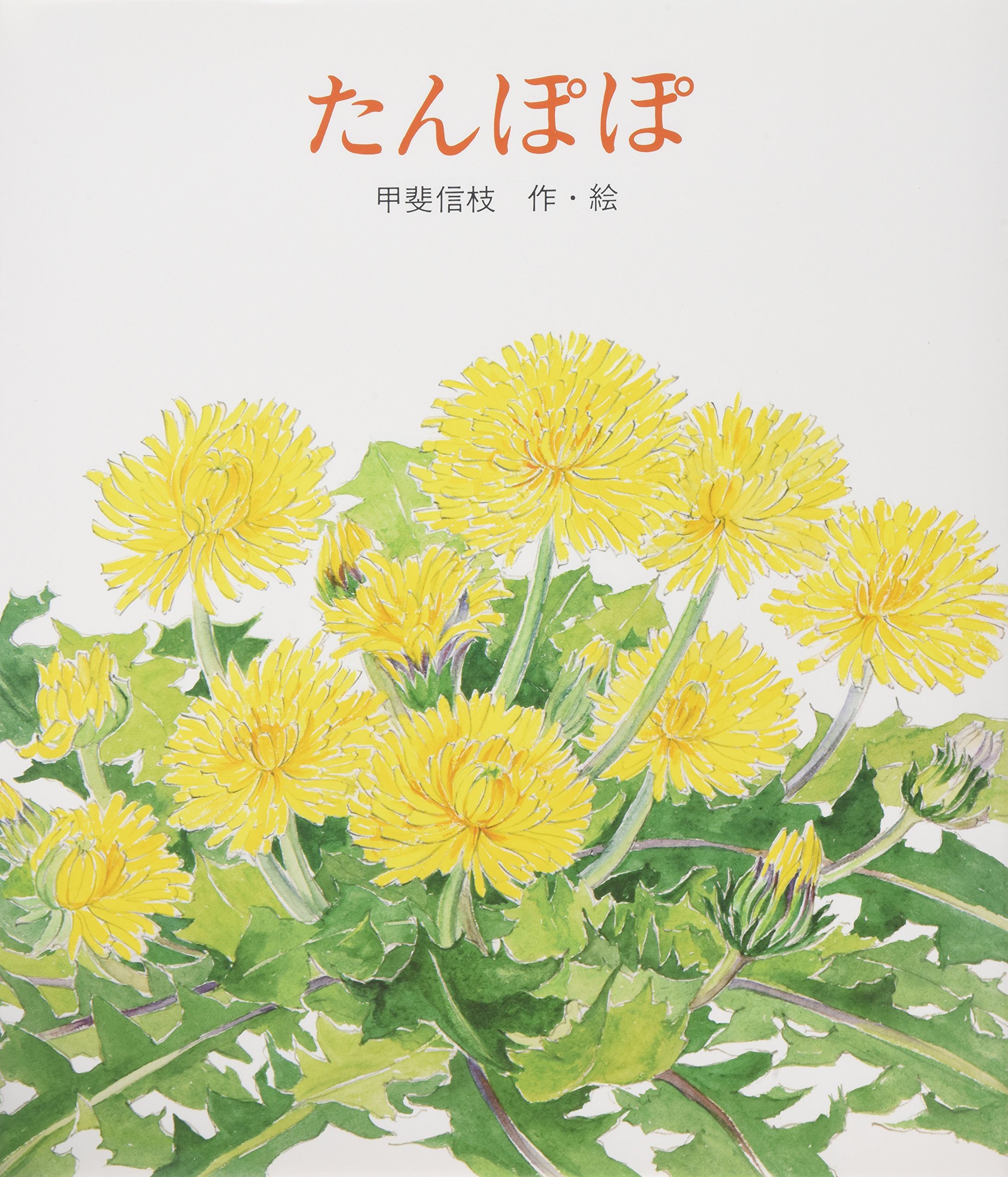 値下げ交渉可たんぽぽ　Olive 171冊セット+おまけ2冊 Amazon.co.jp: たんぽぽ (絵本のおくりもの) : 甲斐 信枝: 本