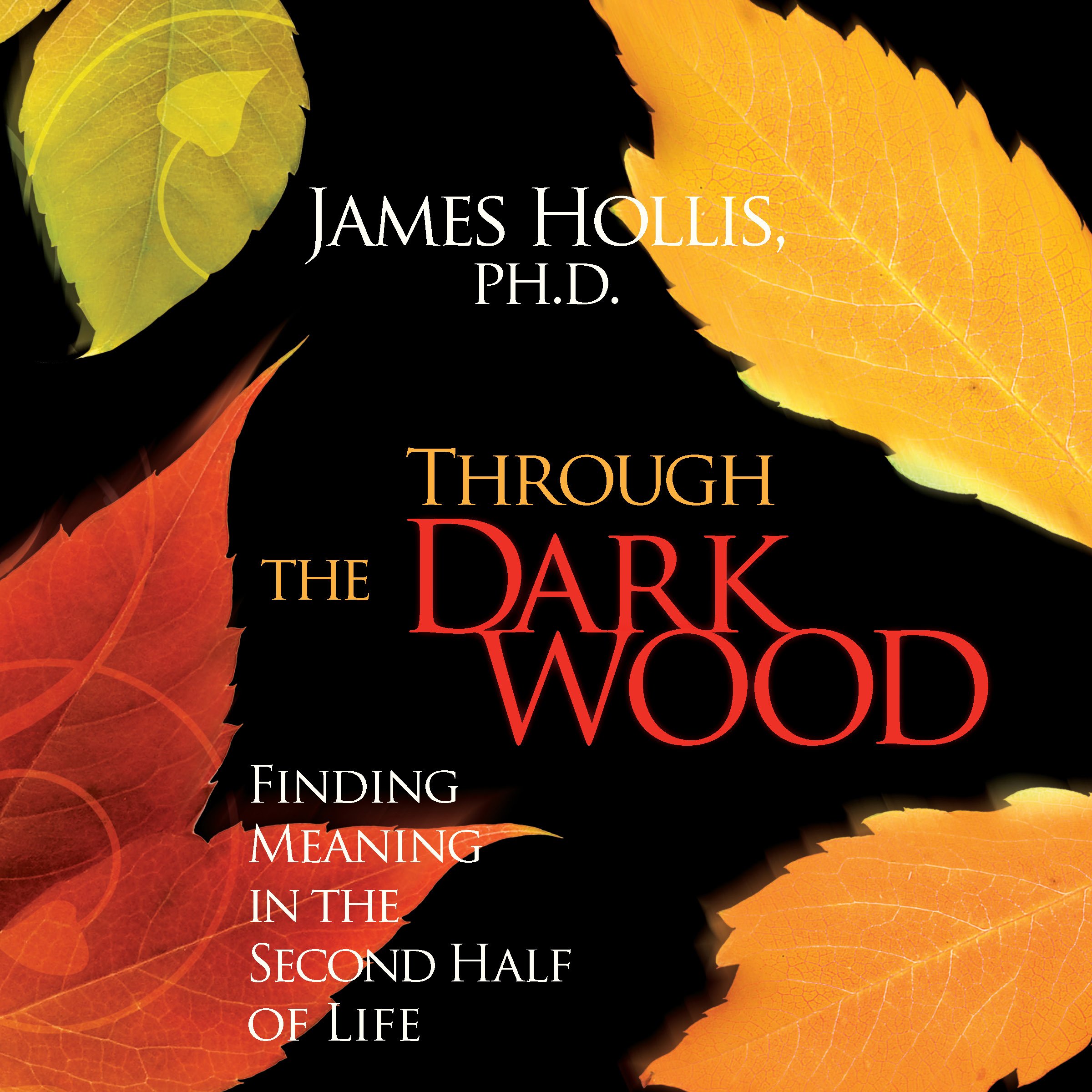 Cover art for Through the Dark Wood