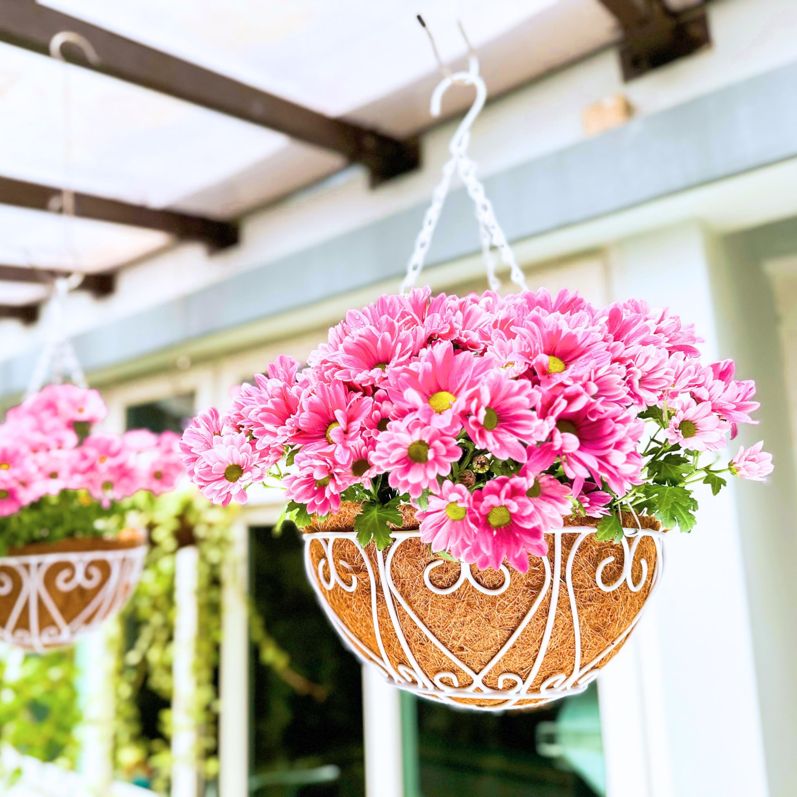 Amazon.com: LaLaGreen Hanging Baskets for Plants (4 Pack, 14 Inch) Hanging  Flower Pots with Coco Liner, White Metal Wire Round Basket Plant Holder  with Hanger Hook Chain Outdoor Deck Patio Balcony Garden
