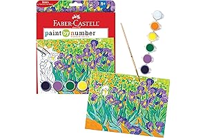 Van Gogh Irises Paint by Numbers Kit
