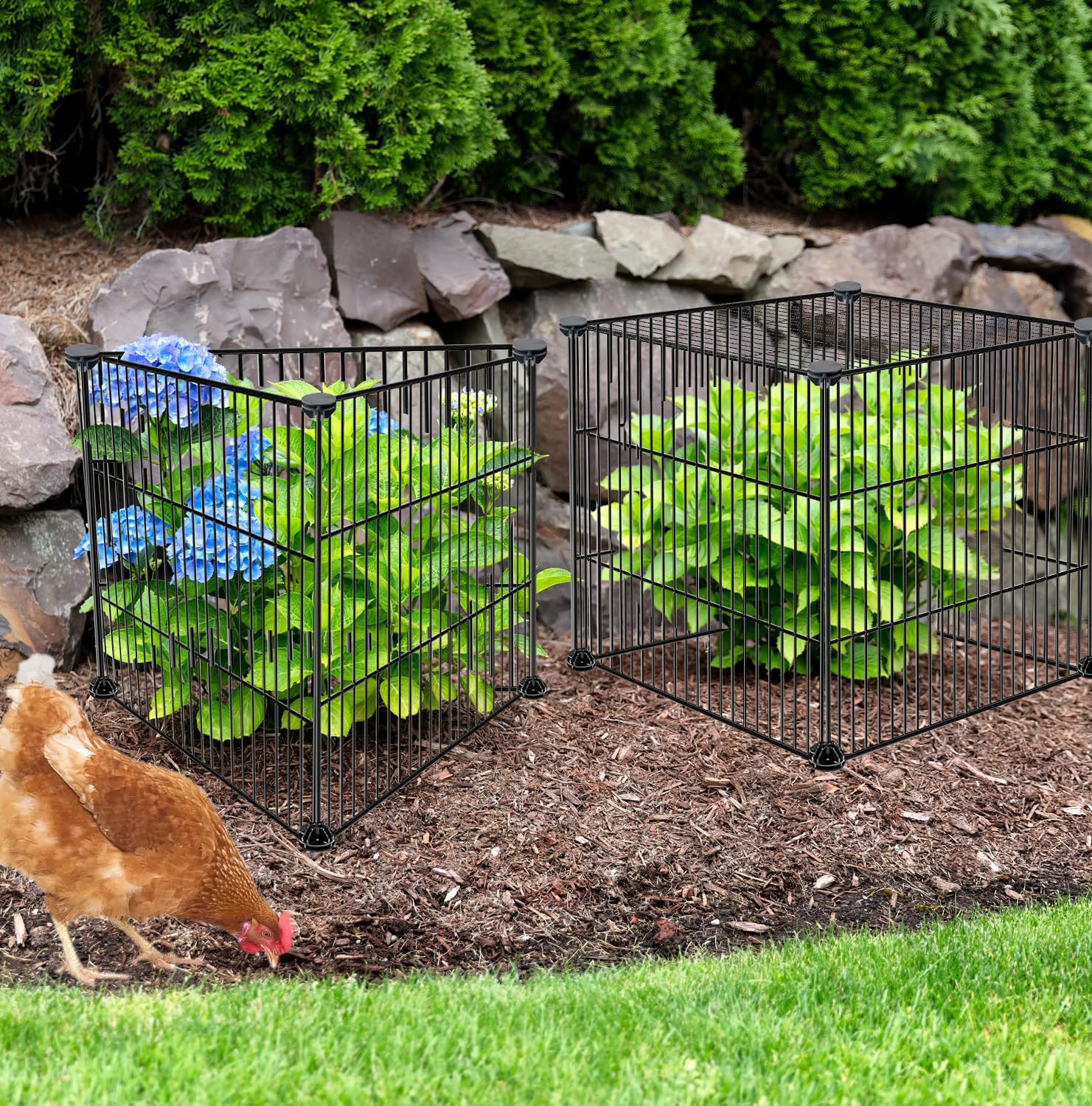 Paquete De 5 Protectores De Plantas De Animales, Malla Metálica De 16.5  Pulgadas De Diámetro X, image size:1481x1500