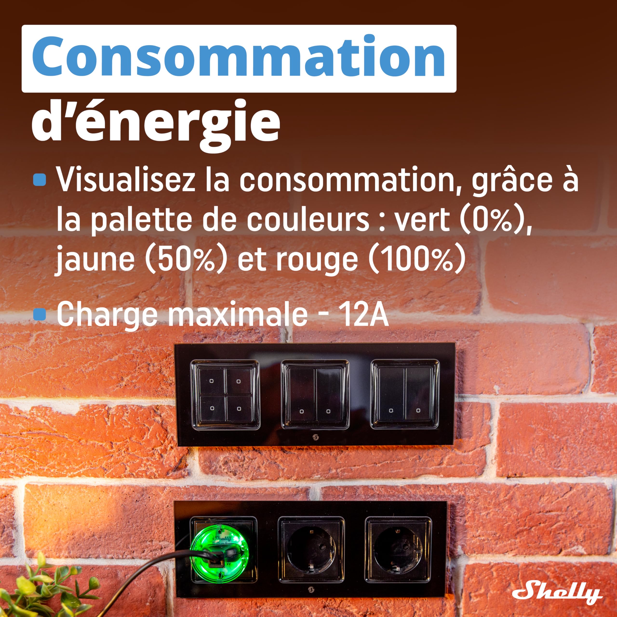 Ceinture De Sécurité / Harnais Anti-chute Professionnel - Pour Travail En Hauteur, Escalade, Accro-branche