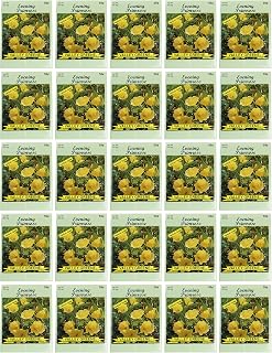 Black Duck Brand Set of 25 Evening Primrose Flower Seed Packets! Flower Seeds in Bulk - Great for Creating The Garden of Your Dreams! (25, Evening Primrose)