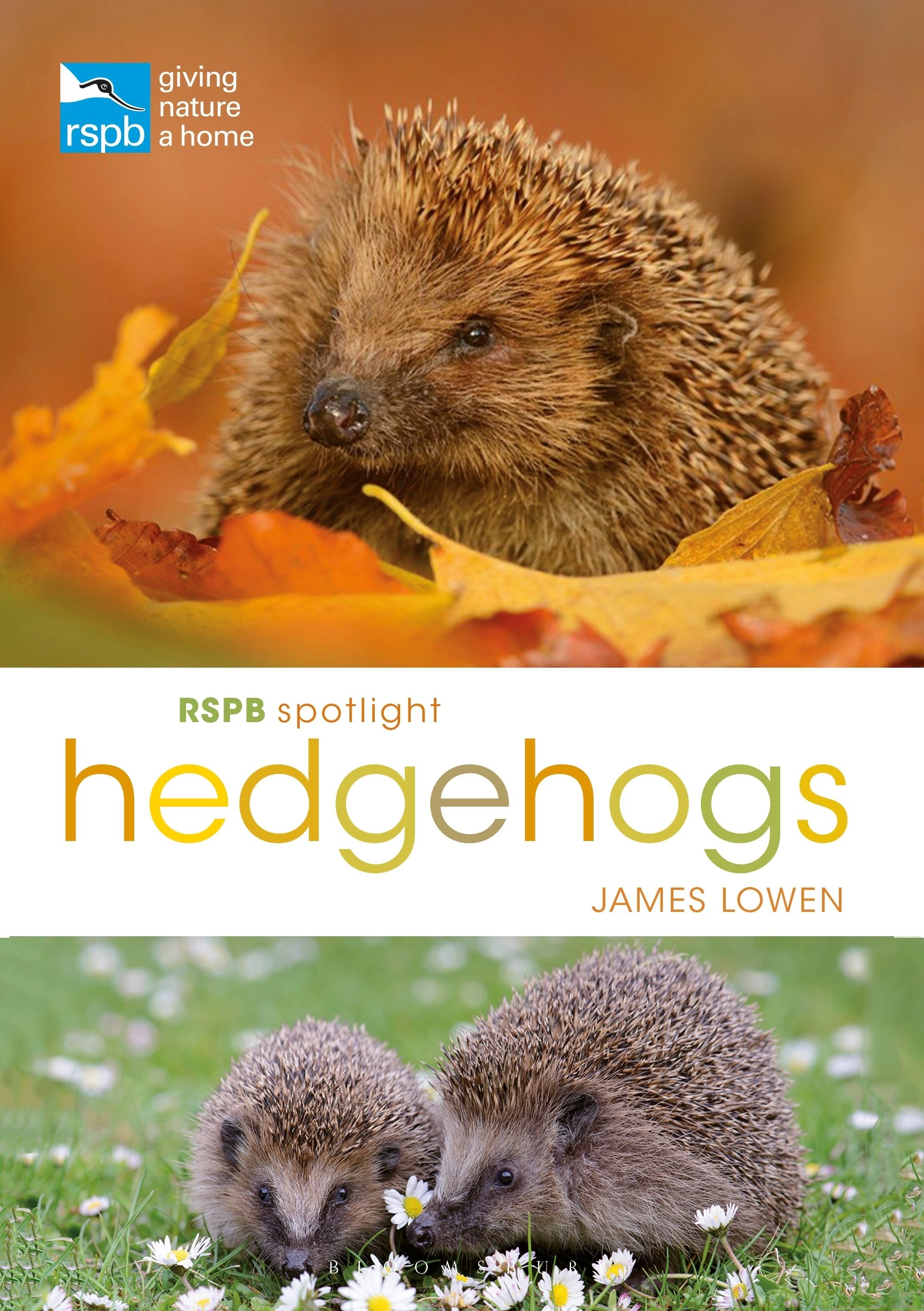 RSPB Spotlight Hedgehogs,James Lowen