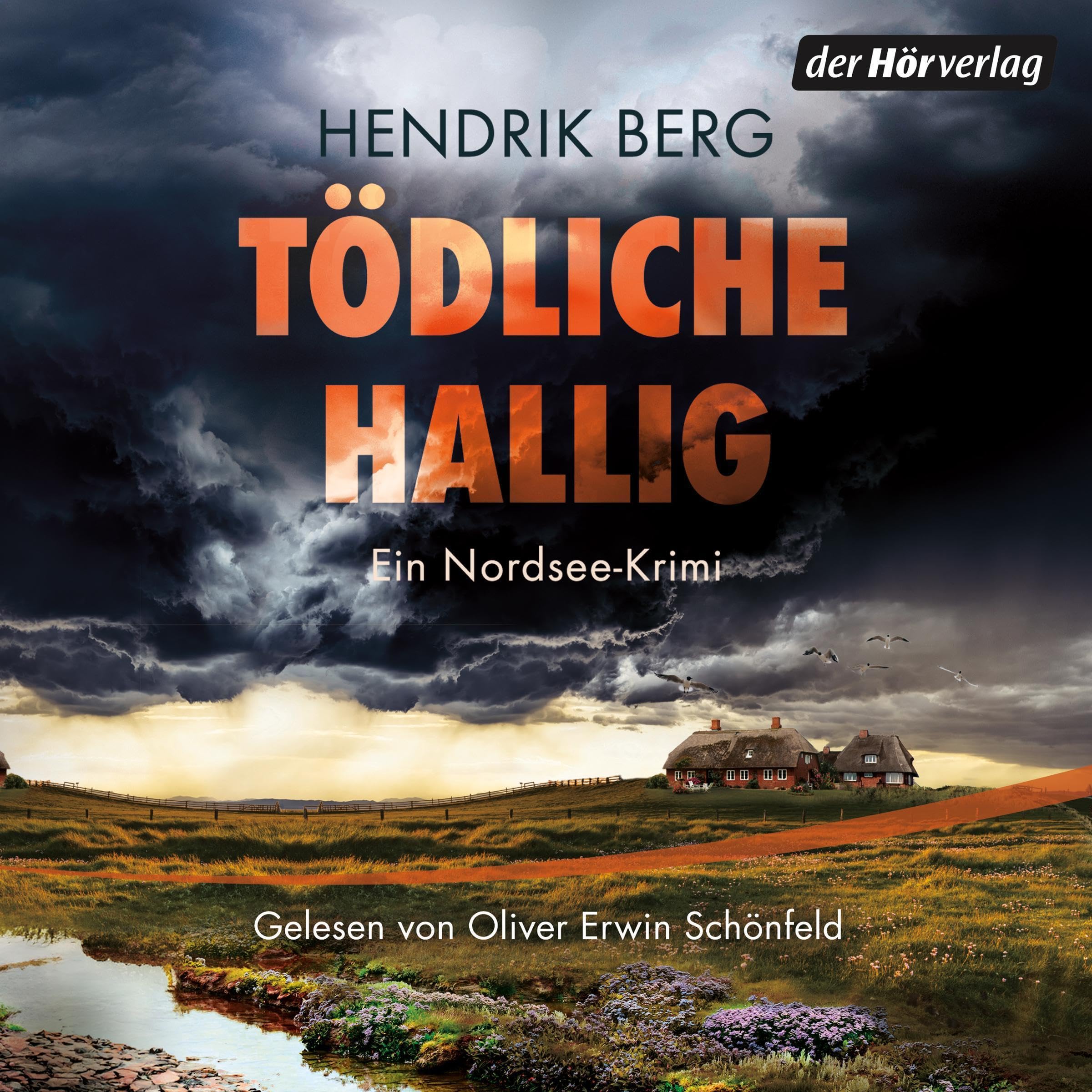 Cover art for Tödliche Hallig