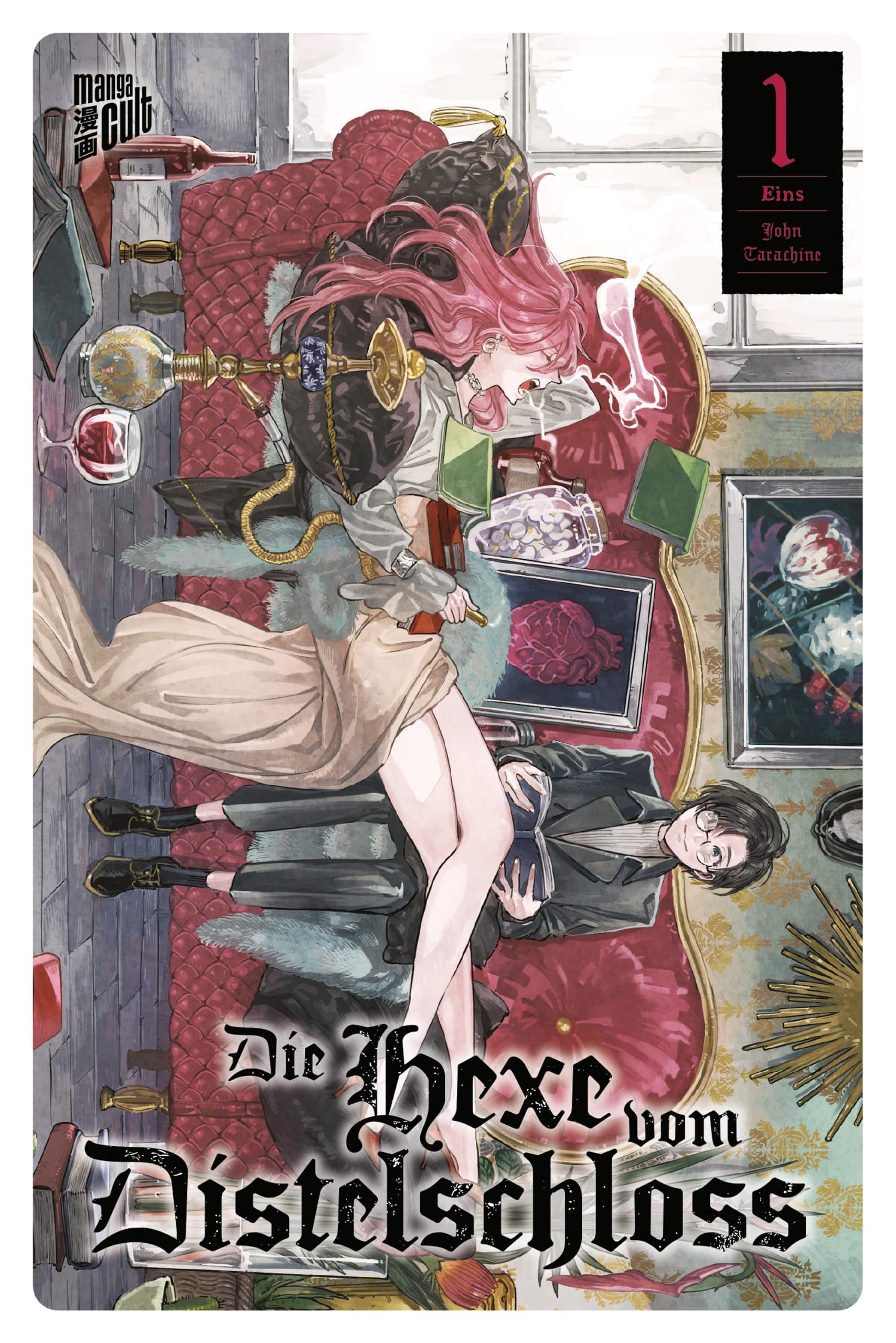 Die Hexe vom Distelschloss 1