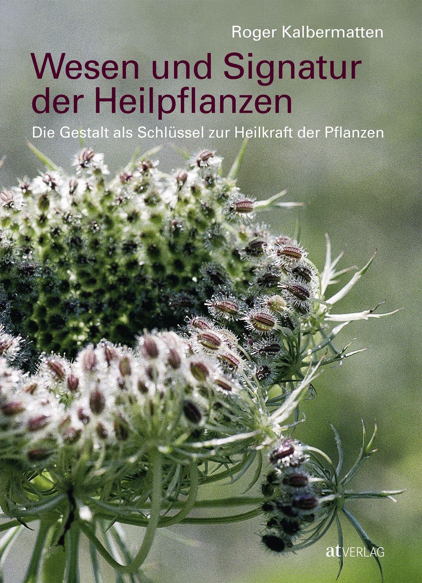 Wesen und Signatur der Heilpflanzen: Die Gestalt als Schlüssel zur Heilkraft der Pflanzen