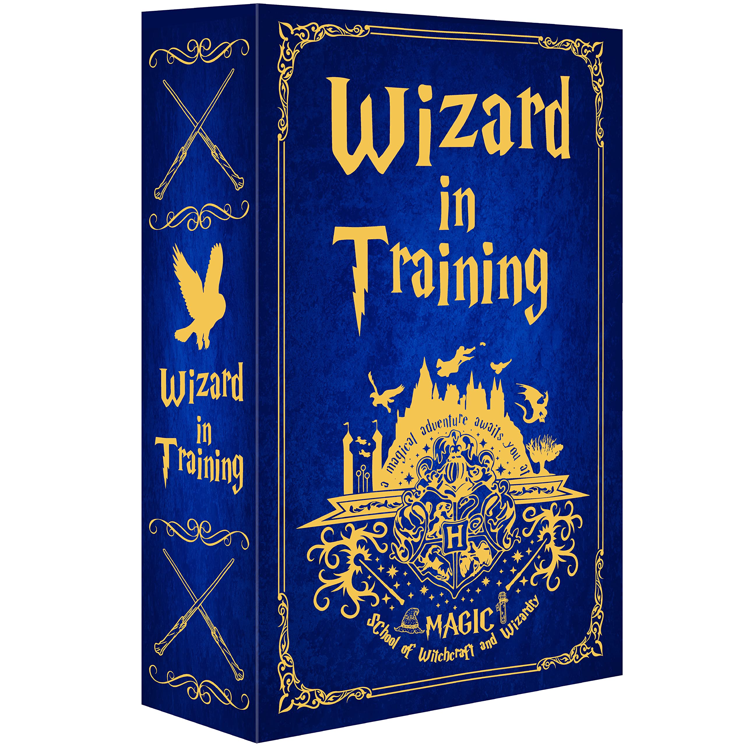 Ulixu Wizard in Training Diversion Book Safe with Real Pages,Combination Lock Box,Secrect Hidden Safe with Key Lock,Portable Metal Safe Box