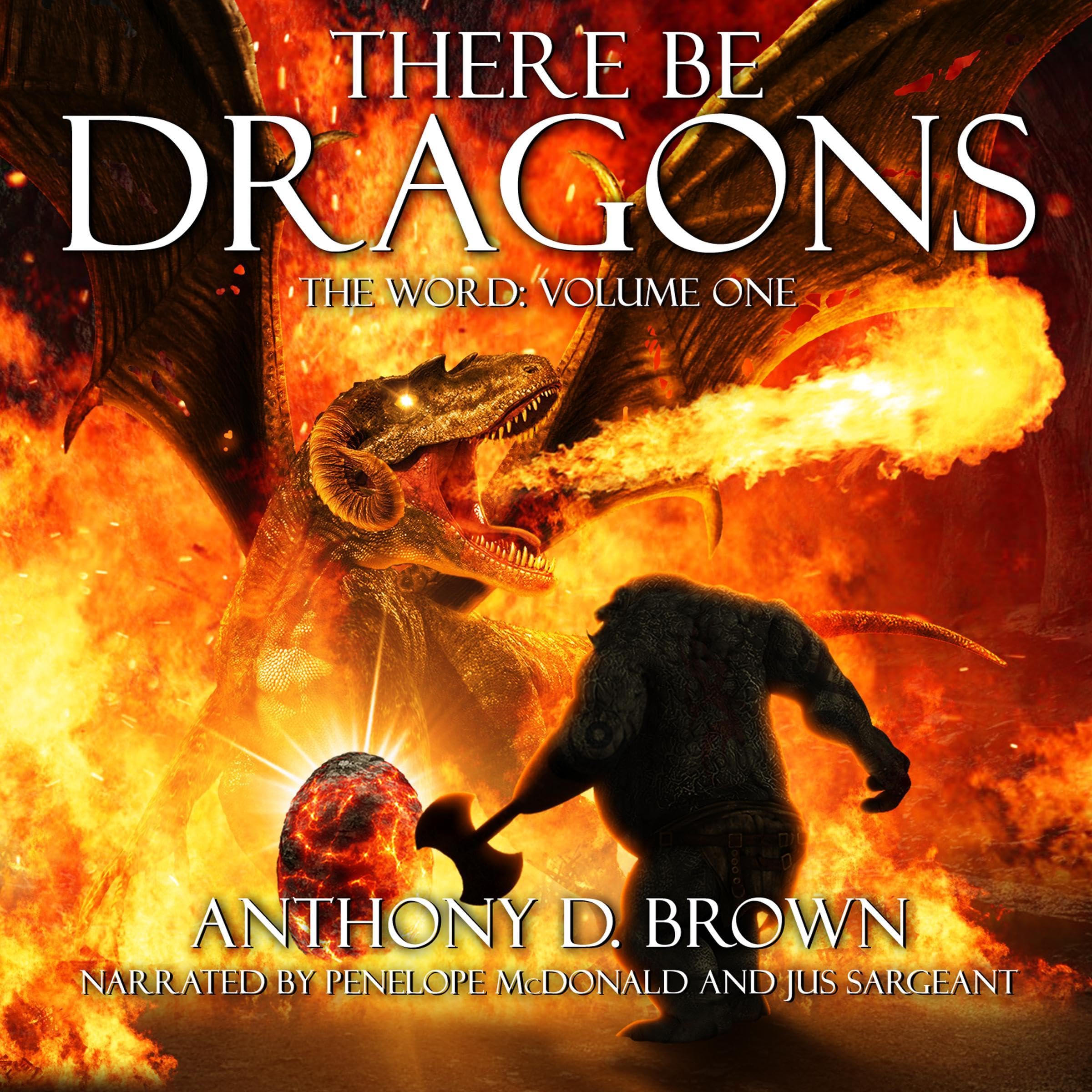 Cover art for There Be Dragons