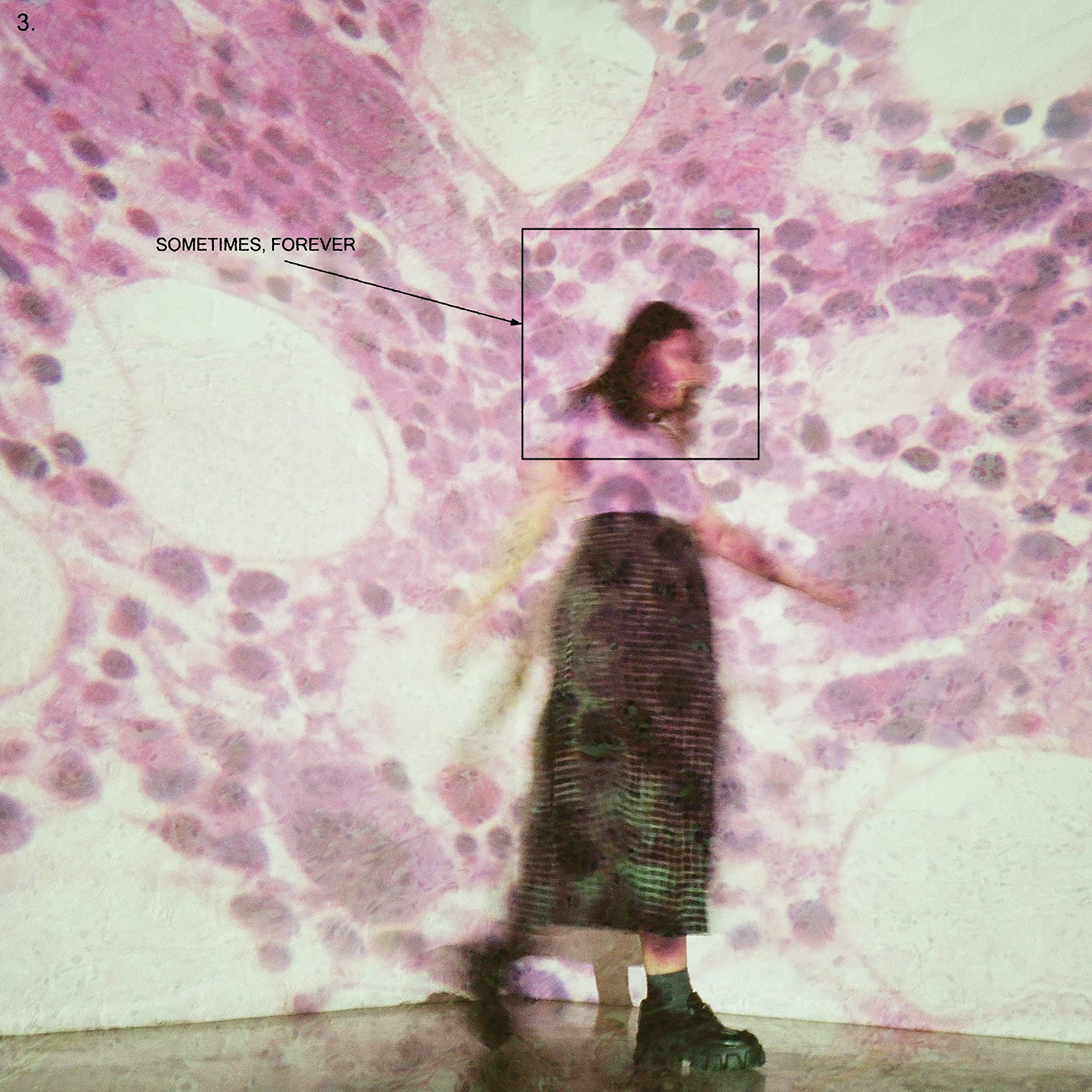 Sometimes, Forever [VINYL]