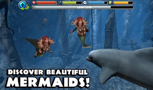Dolphin Simulator