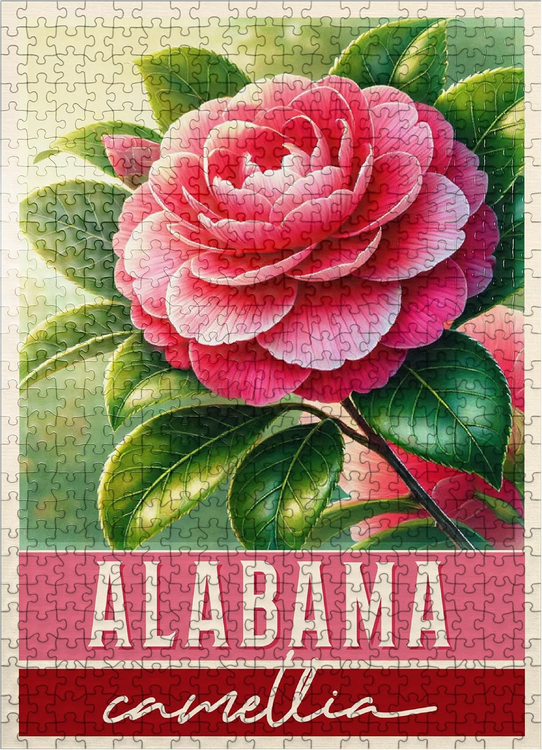 MyPuzzle State Flowers Series: Alabama, Camellia - Premium 500 Piece Jigsaw Puzzle for Adults