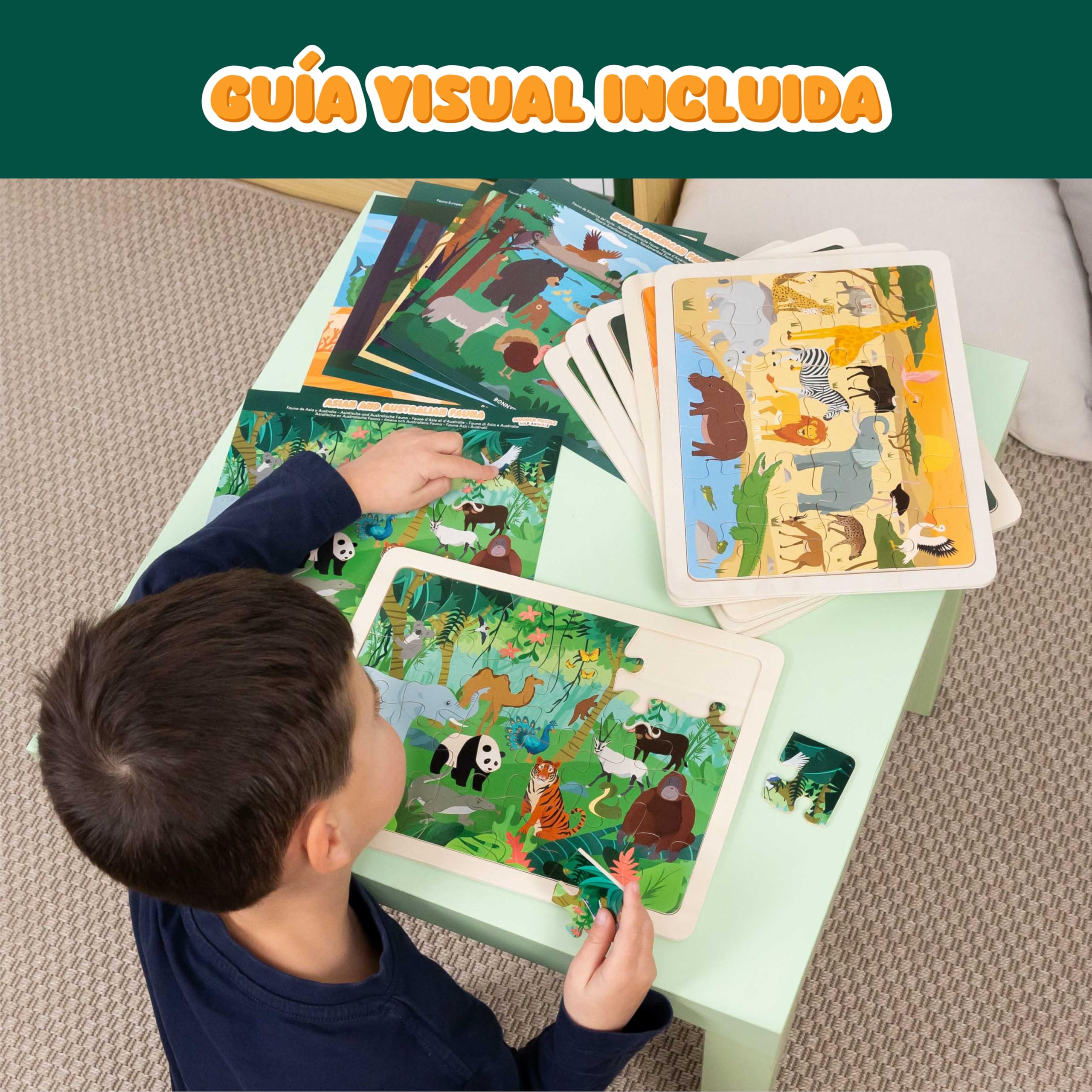 BONNYCO Puzzle Madera para Niños 6 Sets 24 Pcs, Animales de Diferentes Ecosistemas. Puzzles Infantiles con Tablero, Juguetes Educativos, Regalos para Niños 3 a 8 Años, Navidad