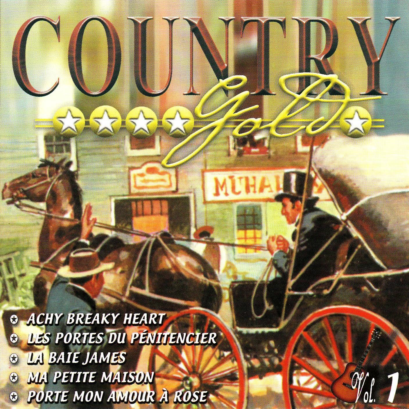 V1 Country Gold [Audio CD] Various