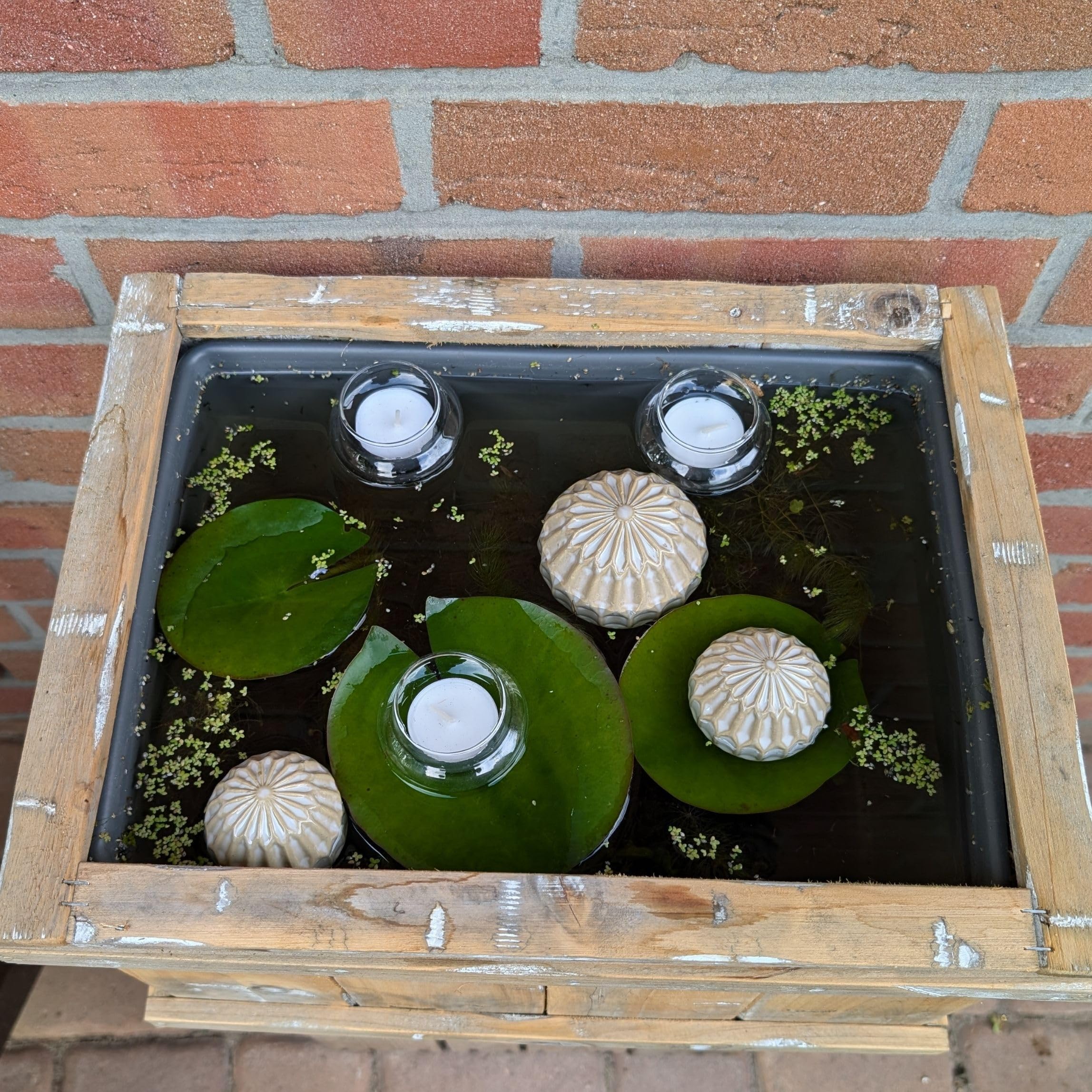 Storm's Gartenzaubereien Miniteich Kompletset - Inklusive 3 cremefarbene Schwimmkugeln & Teelichtschalen aus Glas - Perfekt für Balkon- und Terrassenteich - Teichdeko
