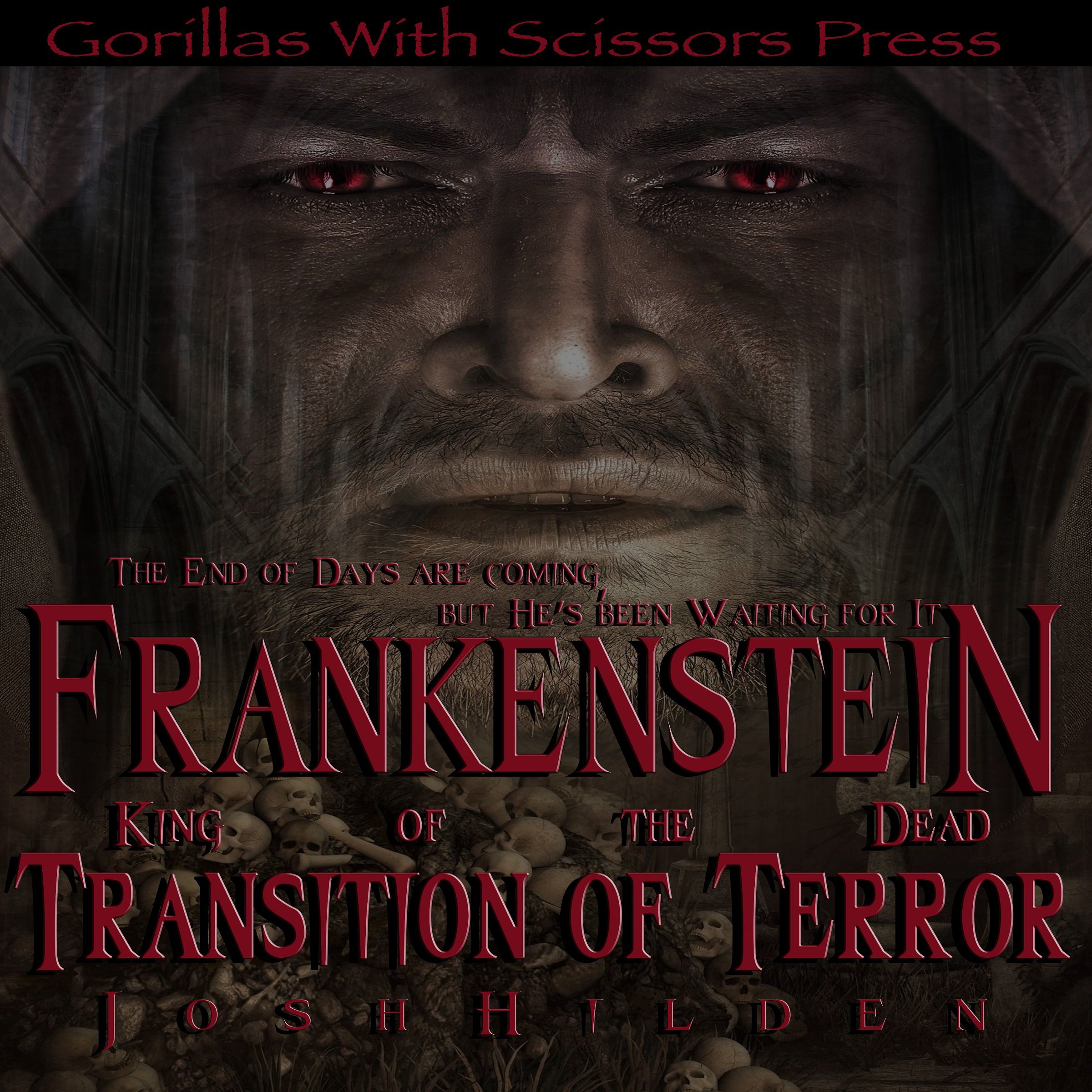 Cover art for Transition of Terror