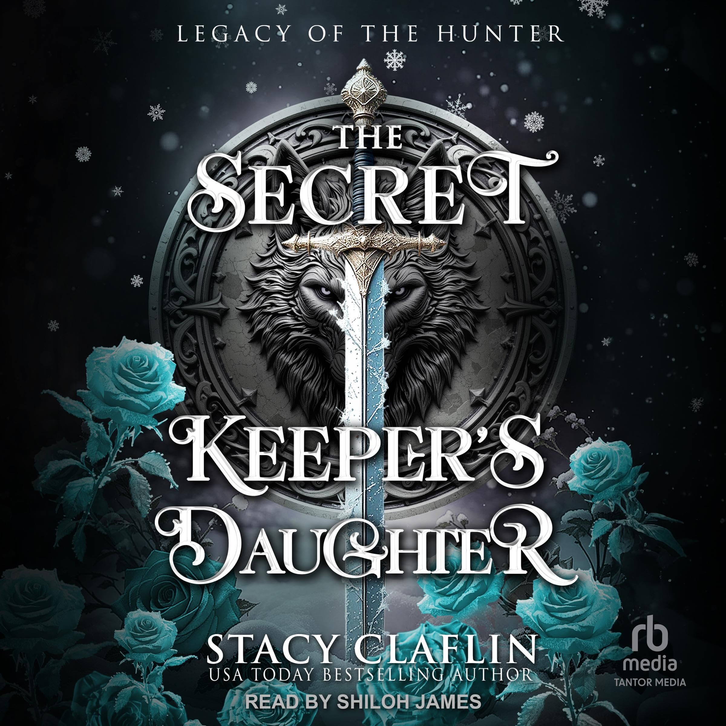 Cover art for The Secret Keeper's Daughter