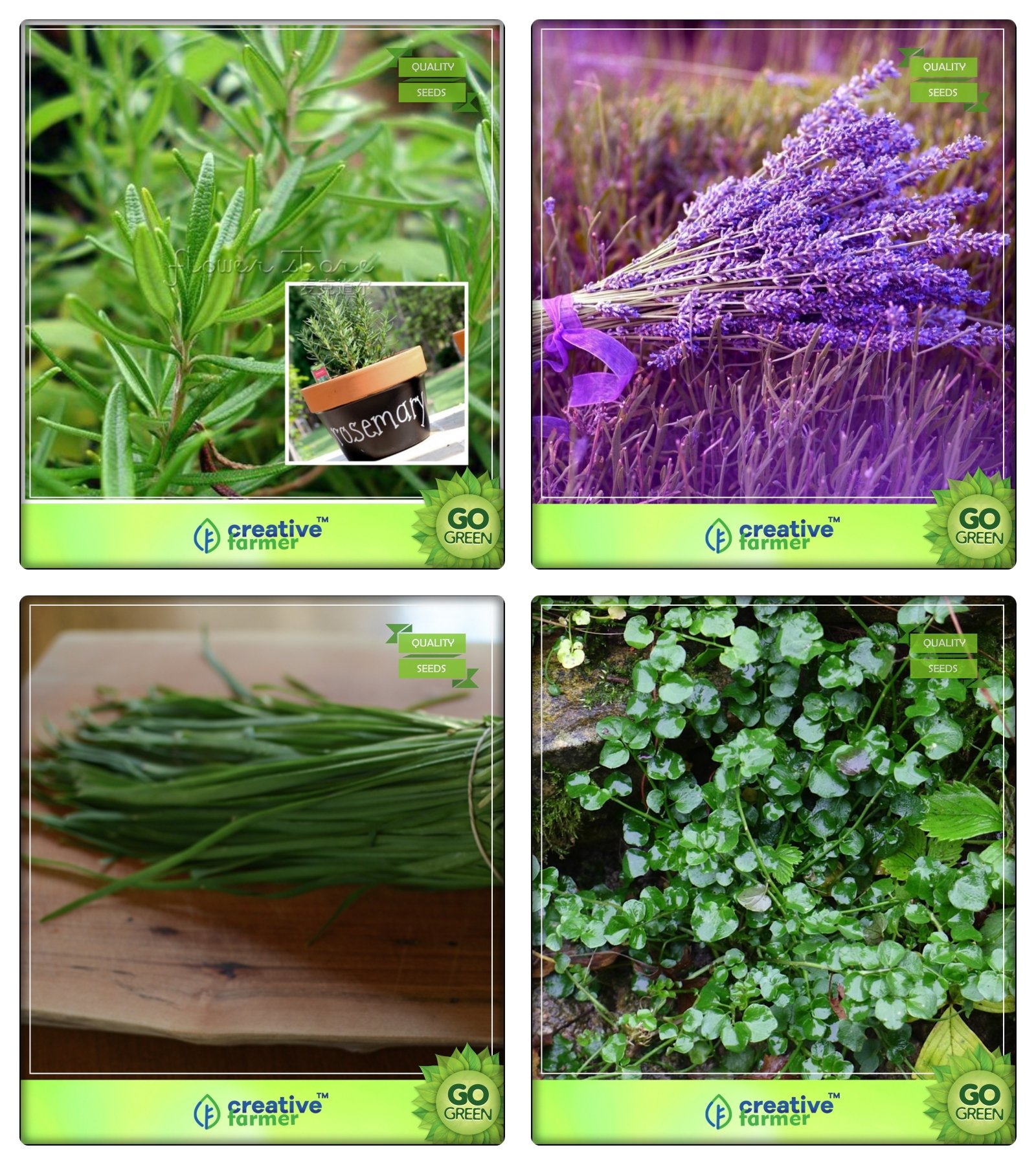 Creative Farmer Herb Combo Offer Rosemary, Lavender, Garlic Chives, Water Cress Herb Seeds Combo Pack (B078V4RK4X) Amazon Price History, Amazon Price Tracker
