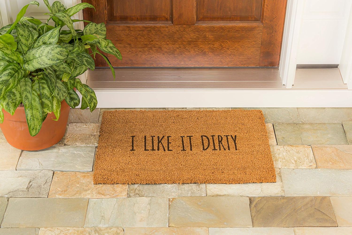Evergreen Flag Funny Novelty Door Mat 28 x 16 Inches - Durable Indoor Outdoor Rug I Like it Dirty
