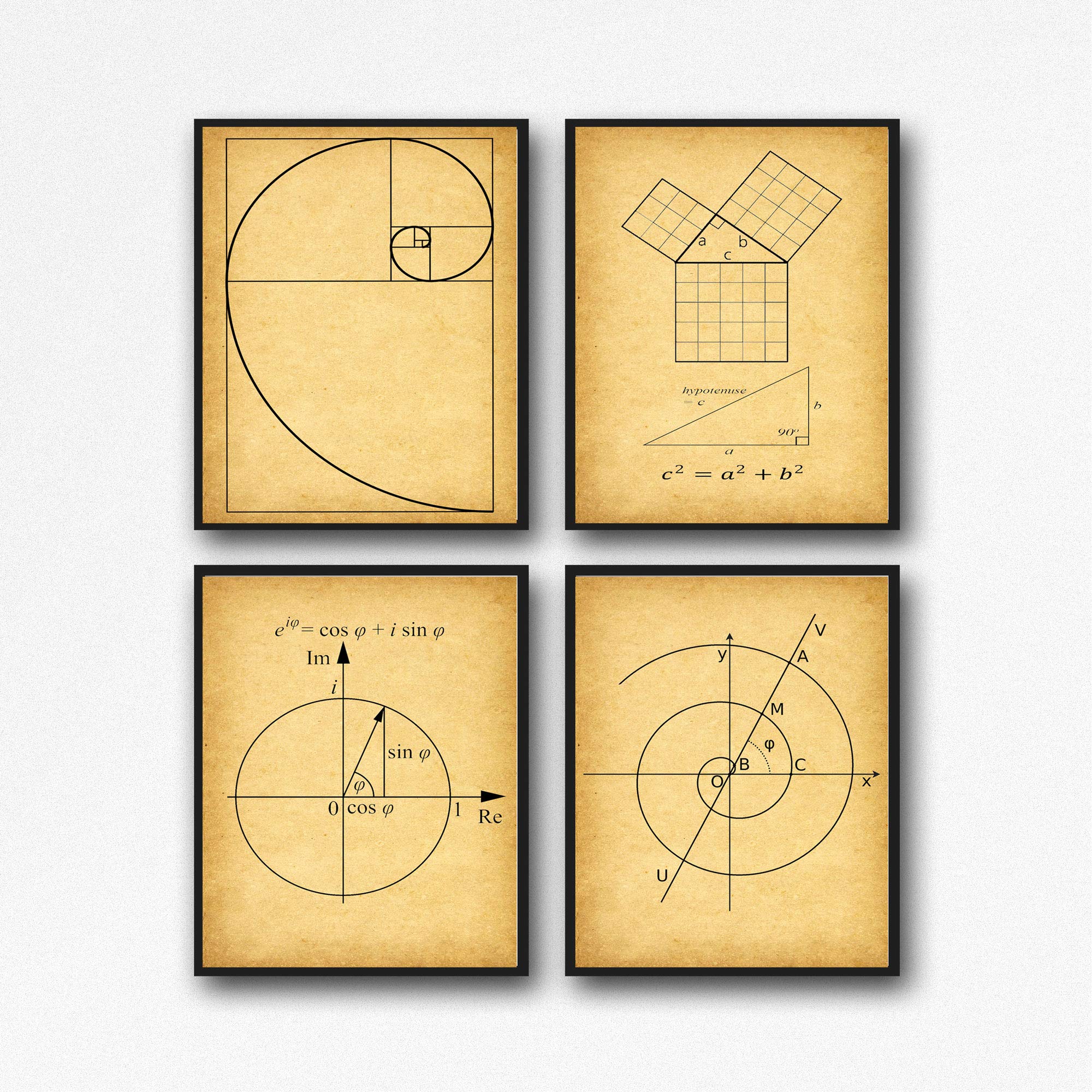 Amazon.com: Math Poster Set of 4 Math Posters Fibonacci