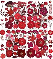 Vista 20 de Juego de 141 flores prensadas secas de otoño marrones para resina, juego de calcomanías de mariposa para Navidad, bricolaje, velas, jarrones