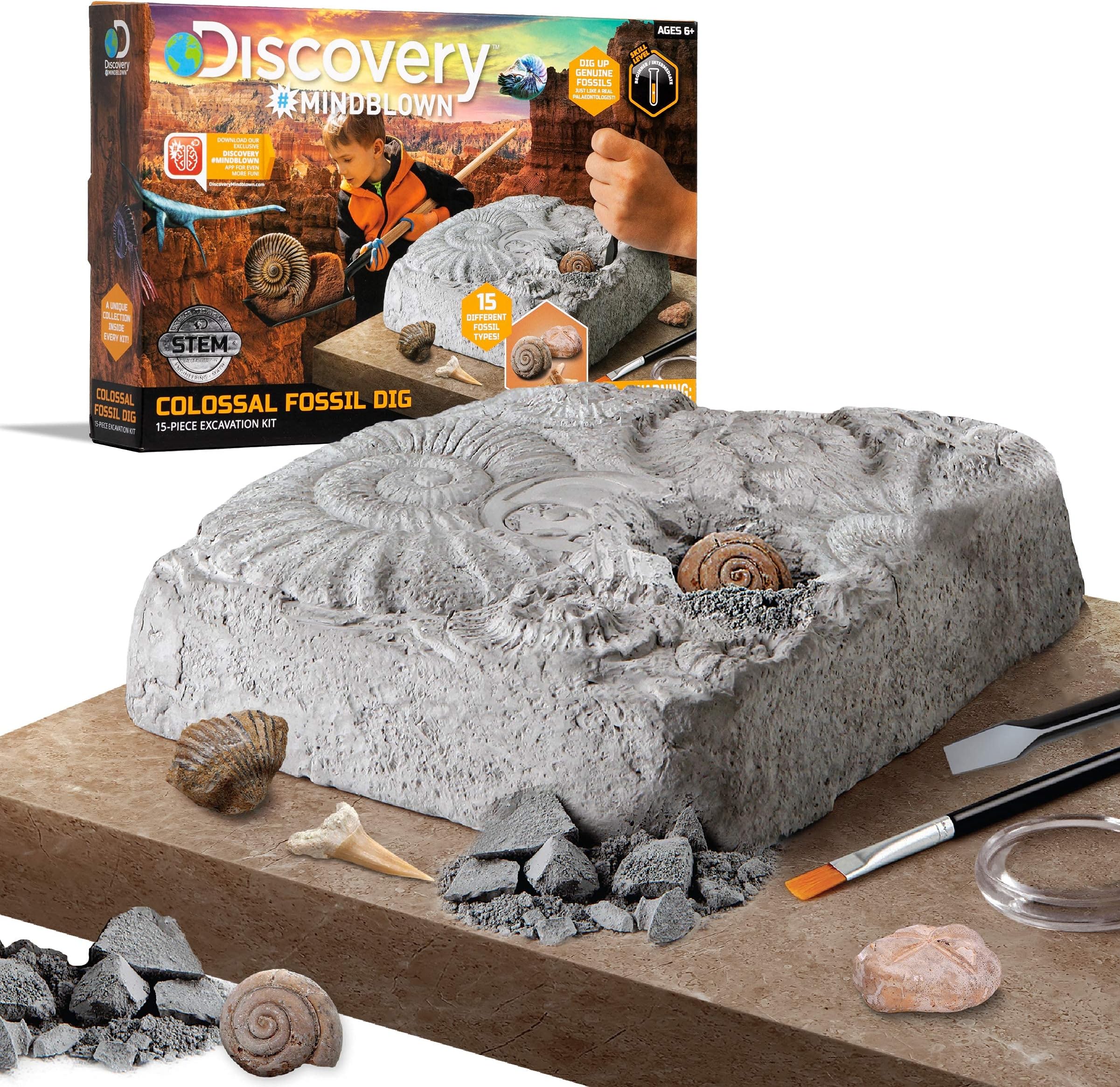 Discovery Colossal Fossil Dig Set, 15-Piece Archeology Excavation Kit, Uncover Real Shark Teeth and More, STEM Toys for Boys and Girls