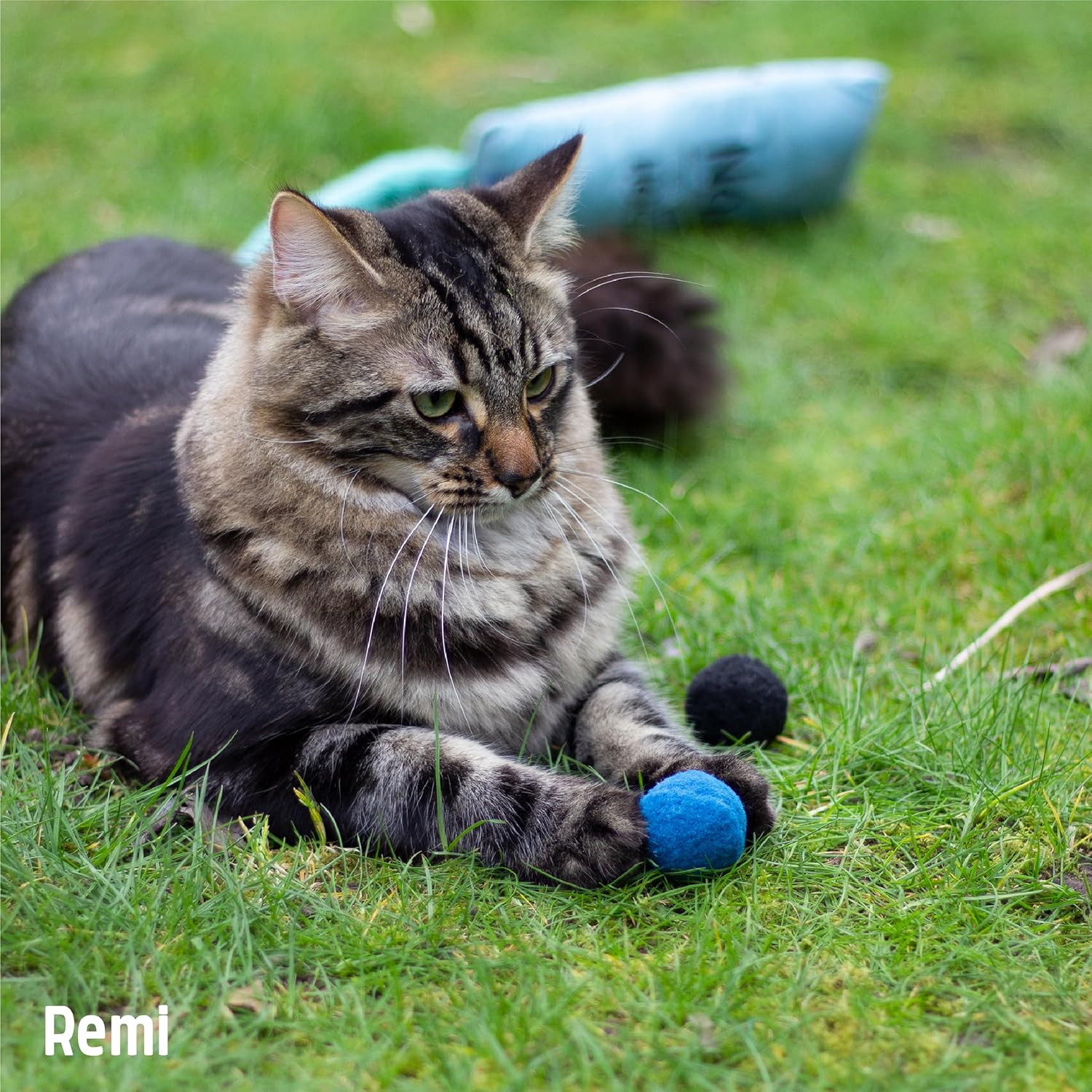 Rosewood Battersea Pounce Balls, Catnip Ball Toys for Cats & Kittens, 12cm x 10cm,Blue