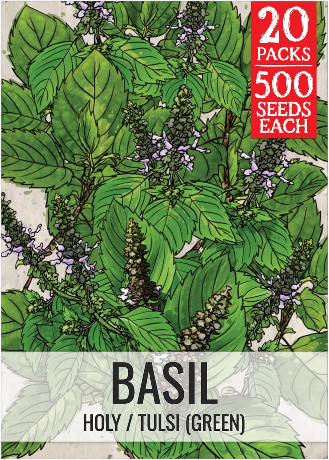 Seed Needs Basil Seeds for Planting Thai Basil Herbs - Non-GMO Heirloom & Untreated Herb Seed to Grow a Fresh Indoor or Outdoor Home Grown Culinary Garden (20 Packs)
