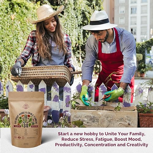 Miniatura 7 de Organo Republic Paquete variado de 30 hierbas culinarias y semillas de flores comestibles, para interiores y exteriores. Más de 7400 semillas de