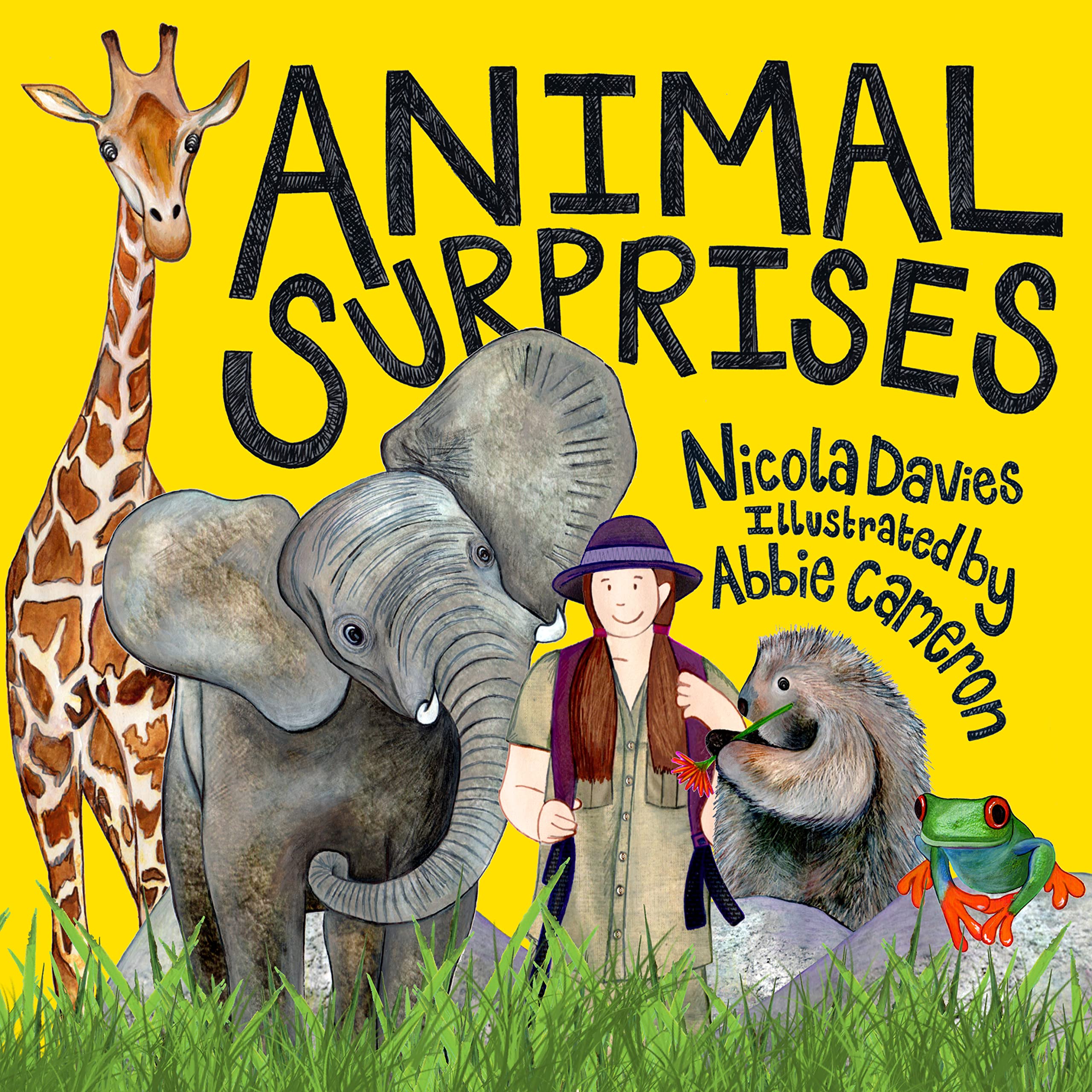 Nicola Davies - Paperback Book - Animal Surprises