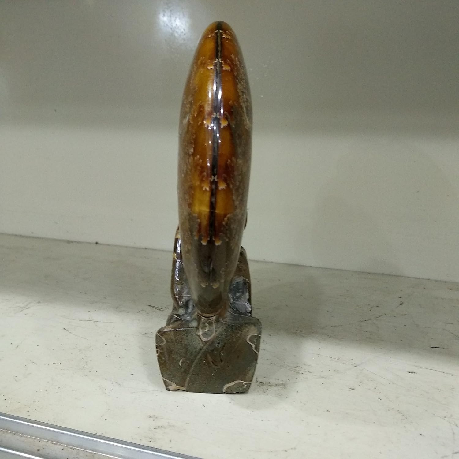 LIXUAN Ammonite Fossil Shell Fossil Gemstone Mineral Specimens Specimen Standup Display Collection Decoration