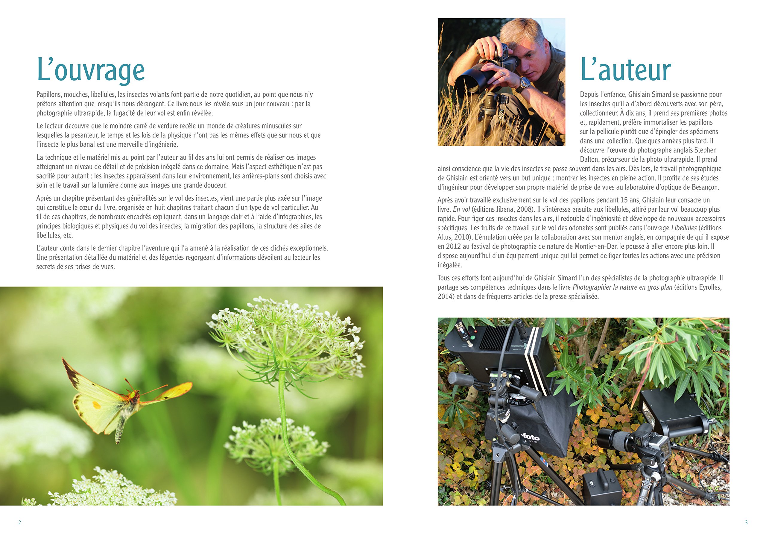 Speed flyers: Le vol des insectes révélé