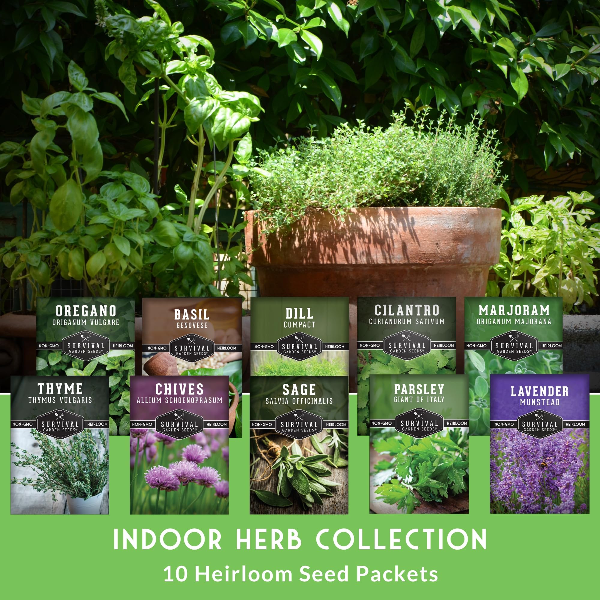 Amazon.com : 10 Culinary Herb Seed Packs for Planting – Survival