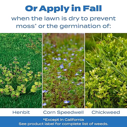 Miniatura 6 de Scotts Detiene el preventor de malezas de pasto cangrejo y hierba, control de malezas preemergente, trata hasta 10,000 pies cuadrados, 20.12 libras