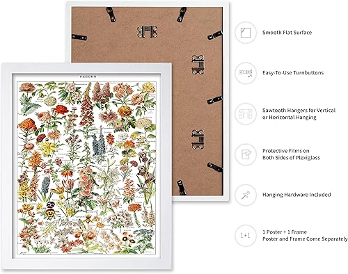 Miniatura 219 de Poster Master Póster vintage de orquídea, estampado de flores retro, arte de pared de plantas exóticas, arte botánico, regalo para hombres y